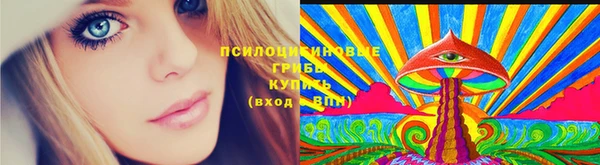 первитин Новодвинск