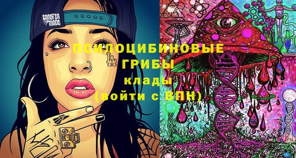 МДПВ Абинск