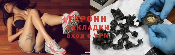 сатива Новозыбков
