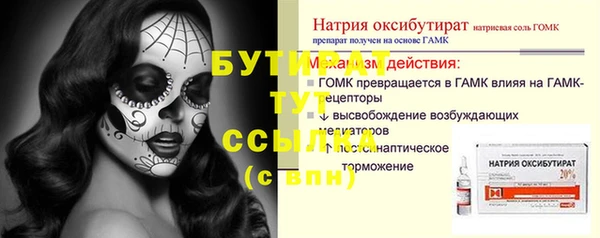 сатива Новозыбков
