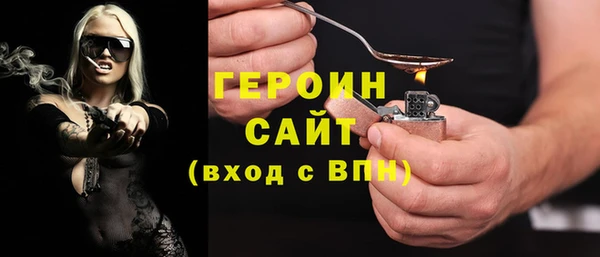 сатива Новозыбков