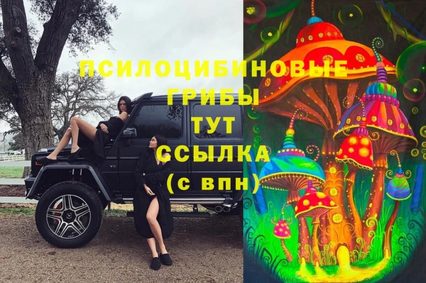 МДПВ Абинск