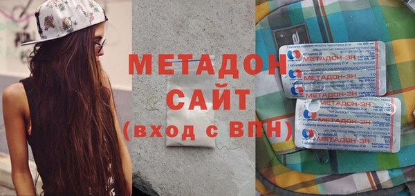сатива Новозыбков
