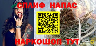 гашик Жуковский