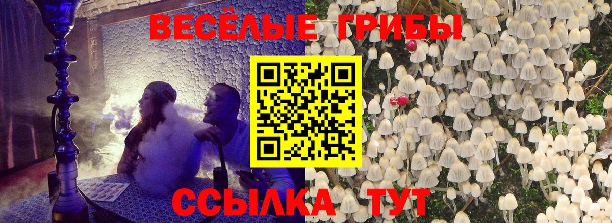 дарнет шоп  Галлюциногенные грибы ЛСД  Вход с VPN  Приморско-Ахтарск  Псилоцибиновые грибы Psilocybe 