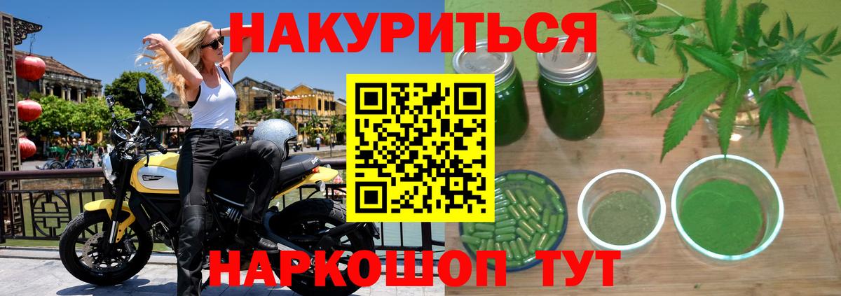 Канабис гибрид Приморско-Ахтарск